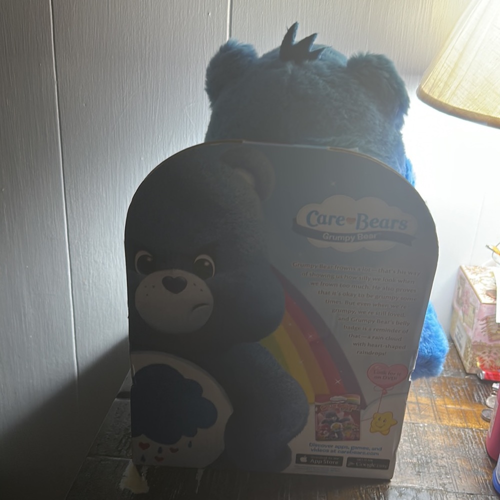 New Care Bears GRUMPY BEAR 12" Plush Sealed in Box 2014 w/ DVD. NIB, Age2+. - Picture 3 of 6